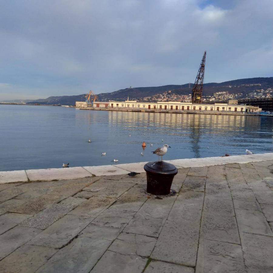 Casa Antica - Historical Apartment In Old City Center Trieste Bagian luar foto